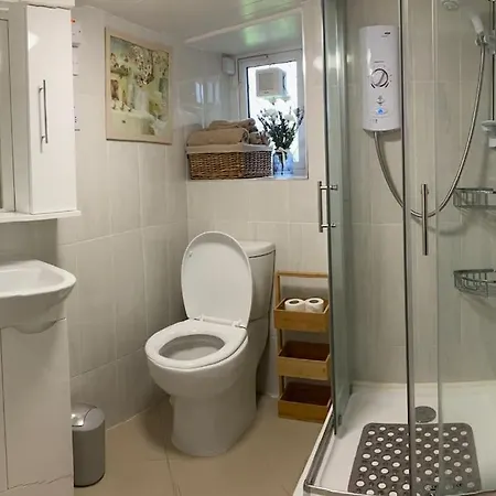 Prázdninový dům The Old Thatch, Lemybrien