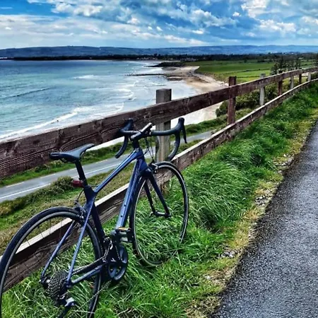 The Old Thatch, Lemybrien Prázdninový dům Waterford